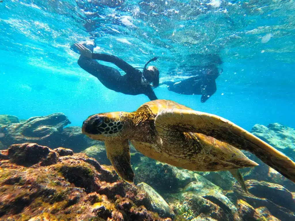 snorkeling Galapagos