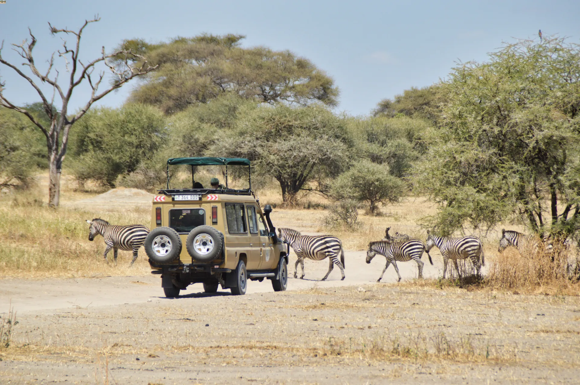 Macchina safari Tanzania