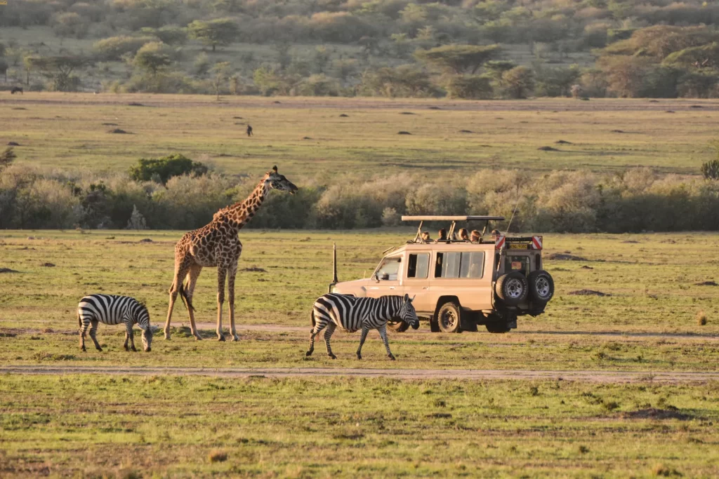 Safari in Kenya 4x4